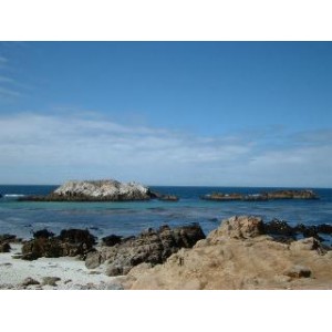 モントレー カーメルツアー